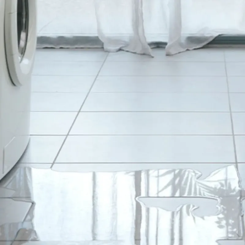 Appliance Leak Cleanup in Brownsville, FL