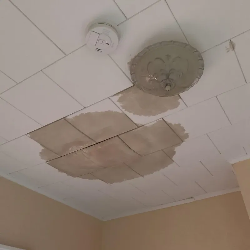 Ceiling Water Damage Repair in Brownsville, FL